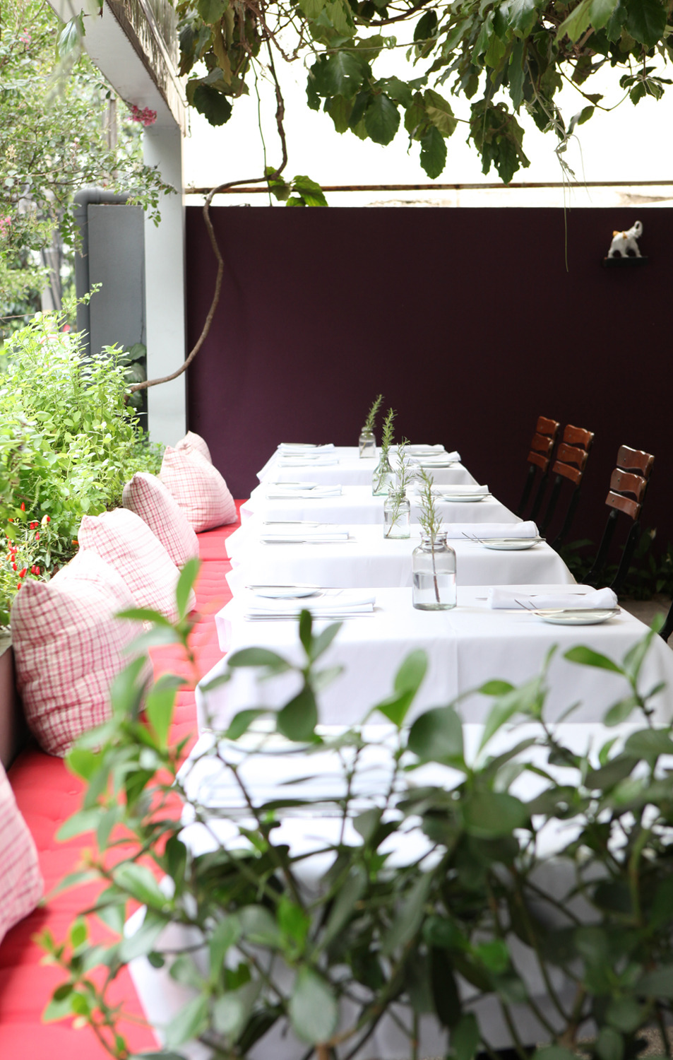 BOA Bistro, foto 7